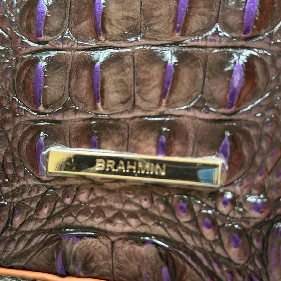 Brahmin Crown Ombré Katie Leather Crossbody NWT - Picture 9 of 9